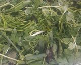 عکس مرحله 6 از دستور دلمه برگ مو ☘👍