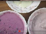 สูตรบลูเบอร์รี่ชีสเค้ก น่ารัก ไม่ง้อเตาอบ / No bake Layer Blueberry Cheesecake