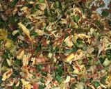 A picture of step 7 of Egg Fried Rice.