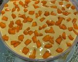 A picture of step 6 of Mango with coffee ice cream.