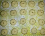 Foto langkah ke 5 dari resep Donat Kentang Super Empuk Lembut.