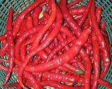 Foto langkah ke 1 dari resep Bumbu dasar putih dan merah.