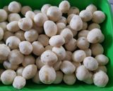Foto langkah ke 3 dari resep Kentang keju.