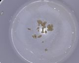 Foto del paso 6 de la receta: Estofado de osobuco