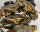 Hình bước làm 1 của món Cua 🦀 rang me
