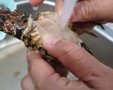Foto langkah ke 1 dari resep Lobster Saus Padang.