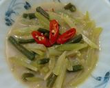 Foto langkah ke 3 dari resep Lodeh Labu Siam Kacang Panjang.