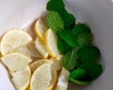 Foto langkah ke 1 dari resep Lemon Mint Iced Cubes Coffee.