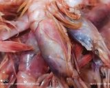 Foto del paso 4 de la receta: Suquet de gambas con patatas azules