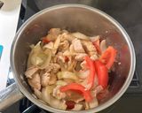 番茄雞肉河粉的食譜步驟4照片