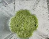 Foto langkah ke 1 dari resep Es Cendol Tepung Beras.