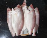 Hình bước làm 1 của món Bánh canh cá sơn thóc