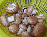 Foto del paso 1 de la receta: Pechuga de pollo con champiñones Portobello, con salsa de Cabrales