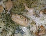 Foto del paso 4 de la receta: Exquisito pollo a la leche