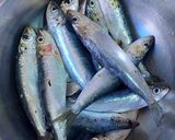 Foto del paso 4 de la receta Sardinas al horno con verduras asadas en los mismos jugos