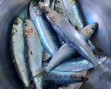 Foto del paso 4 de la receta: Sardinas al horno con verduras asadas en los mismos jugos