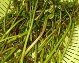 Hình bước làm 1 của món Canh Chua Tôm Đọt Choại