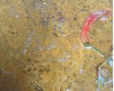 A picture of step 5 of Rajasthani dry gawarphali sabji.