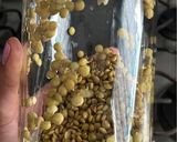 Foto del paso 10 de la receta: Germinados 🌱 lentejas orgánicos