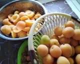 صورة لخطوة 1 من وصفة مربى المشمش