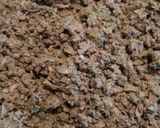 Foto del passaggio 5 della ricetta Crostini di fegatini toscani