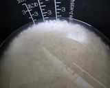 A picture of step 1 of Crazy ! Fermented pizza.