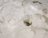 Une image de l'étape 4 de 🇫🇷 🇬🇧 Tarte au fromage blanc GOU13.