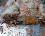 Foto del paso 5 de la receta: Pan de Carne con Cebolla, Ajo, Perejil y Huevo Duro🇺🇾🤗🥰🇺🇾🤗🥰🇺🇾🤗🥰🇺🇾