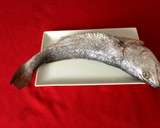 Foto del paso 1 de la receta: Corvina de estero con patata y cebolleta al horno