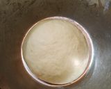 Foto langkah ke 4 dari resep Khusus Dough (Adonan) Roti Pizza.