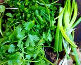 Hình bước làm 2 của món Canh cá khoai nấu thơm cà