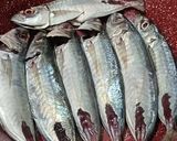 Gambar langkah 2 resipi Ampap Ikan Basung.