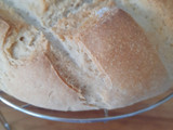Pan común en Mambo