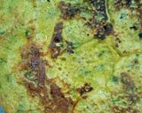 बेसन चीला (besan cheela recipe iN Hndi) रेसिपी चरण 5 फोटो