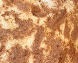 Cinnamon rollsmatakin girki8 hoto