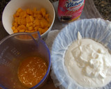 Foto del paso 2 de la receta: Copas de mango con chocolate aptos para dieta