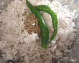 A picture of step 1 of Papaya Puli Kajipu.