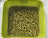 Foto langkah ke 1 dari resep Bubur Kacang Hijau Kental ala Abang-Abang.
