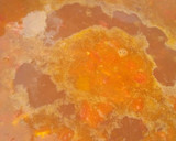 Foto del paso 4 de la receta: Lentejas 1a Vez
