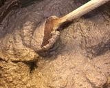 Májas - gombás göngyölt csirke bacon kabátban, májtócsnival recept fázis 3 fotója