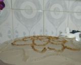 A picture of step 17 of Golden painted choc cake design.....