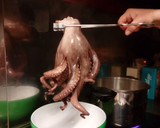 Foto del paso 3 de la receta: Pulpo con patatas 🐙