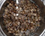 Foto del paso 2 de la receta: Caracoles con tomate y cebolla 🐌