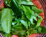 Foto langkah ke 1 dari resep Kering Daun Melinjo & Ikan Asin Jambrong (793).