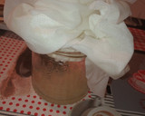 Foto del paso 3 de la receta: Yogurt de queso crema sin azúcar añadido