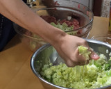 Foto del paso 3 de la receta: La empanada china "GYOZA"