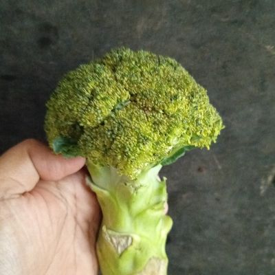 Langkah 2