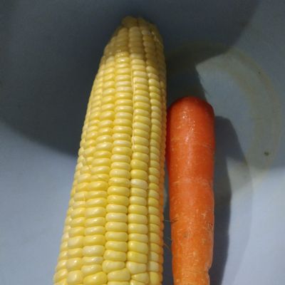 Langkah 2
