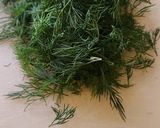 A picture of step 1 of Horseradish Dill Sauce.