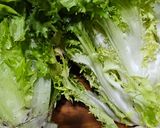 Foto del paso 2 de la receta: Ensalada con col lombarda